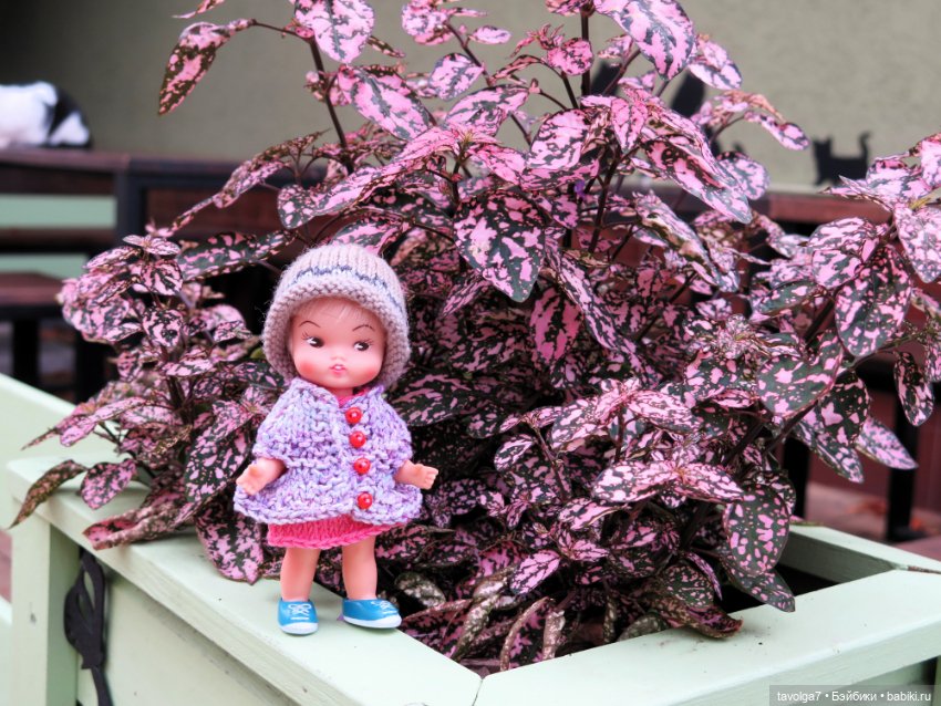 Hildy от Remco в Зеленоградске