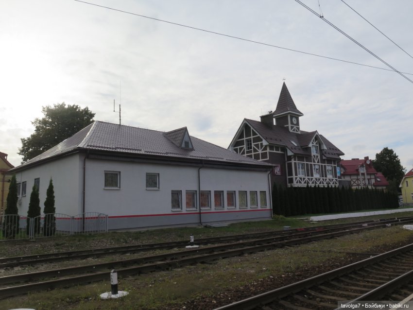 Hildy от Remco в Зеленоградске (фото 2)