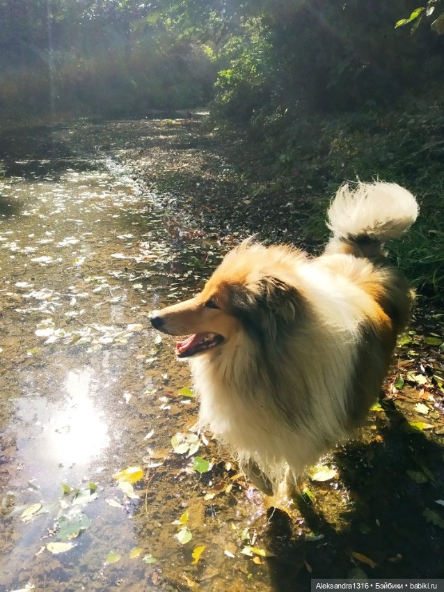 Опять +25🌞 — Туризм и путешествия: фотоотчеты из поездок