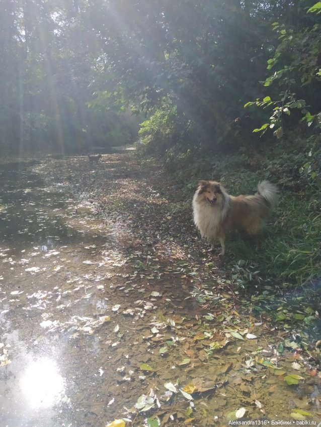 Опять +25🌞 — Туризм и путешествия: фотоотчеты из поездок