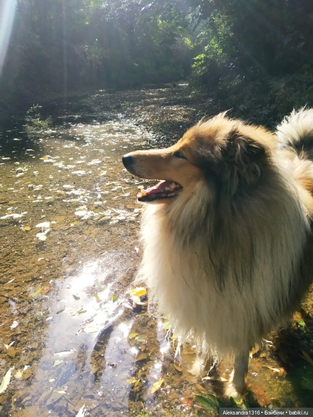 Опять +25🌞 — Туризм и путешествия: фотоотчеты из поездок (фото 3)