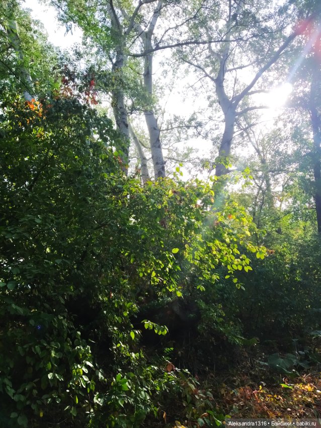 Опять +25🌞 — Туризм и путешествия: фотоотчеты из поездок (фото 4)