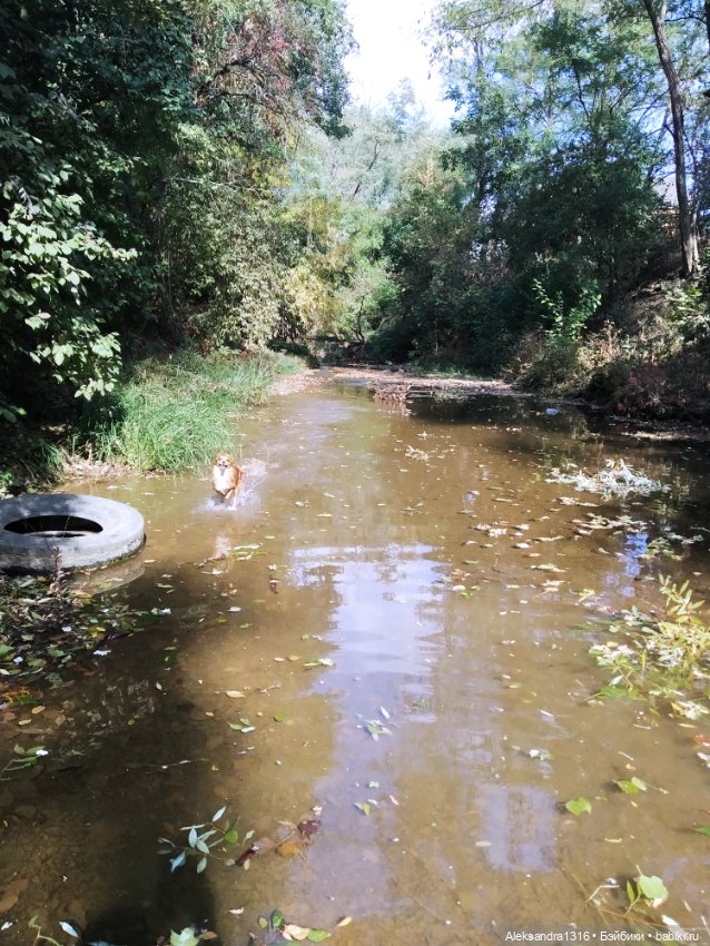 Опять +25🌞 — Туризм и путешествия: фотоотчеты из поездок