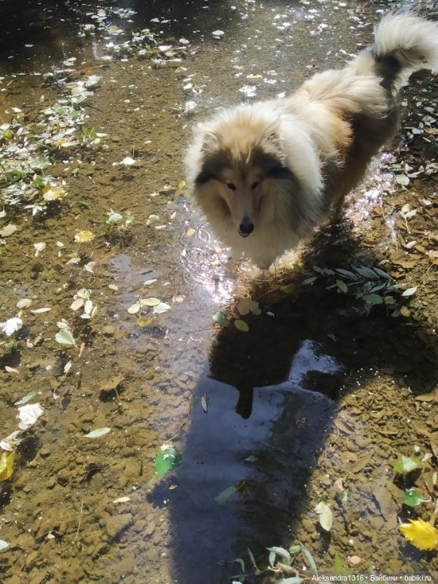 Опять +25🌞 — Туризм и путешествия: фотоотчеты из поездок