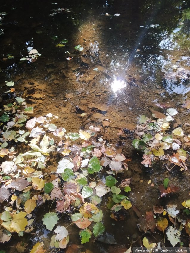 Опять +25🌞 — Туризм и путешествия: фотоотчеты из поездок