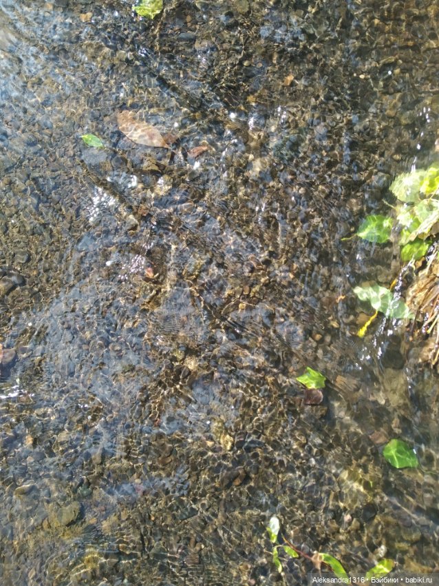 Опять +25🌞 — Туризм и путешествия: фотоотчеты из поездок