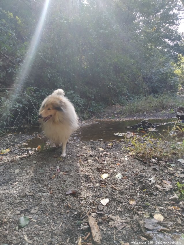 Опять +25🌞 — Туризм и путешествия: фотоотчеты из поездок