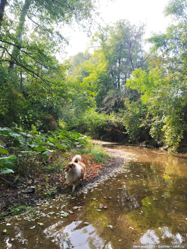 Опять +25🌞 — Туризм и путешествия: фотоотчеты из поездок (фото 10)