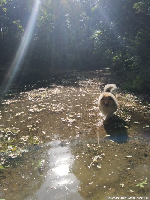 Опять +25🌞 — Туризм и путешествия: фотоотчеты из поездок