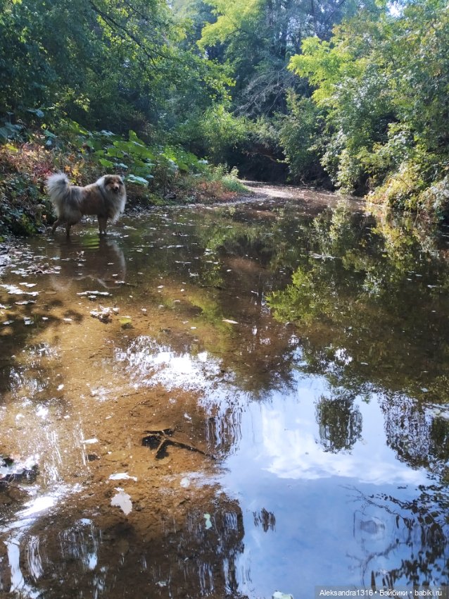 Опять +25🌞 — Туризм и путешествия: фотоотчеты из поездок