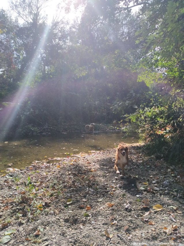 Опять +25🌞 — Туризм и путешествия: фотоотчеты из поездок