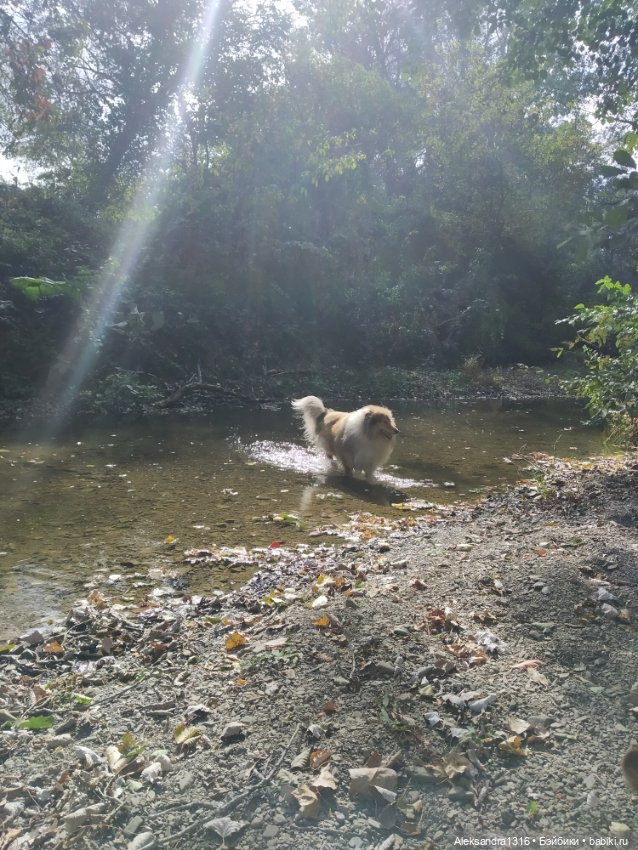 Опять +25🌞 — Туризм и путешествия: фотоотчеты из поездок