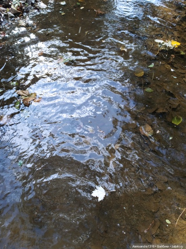 Опять +25🌞 — Туризм и путешествия: фотоотчеты из поездок