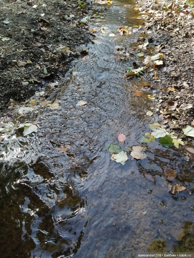 Опять +25🌞 — Туризм и путешествия: фотоотчеты из поездок