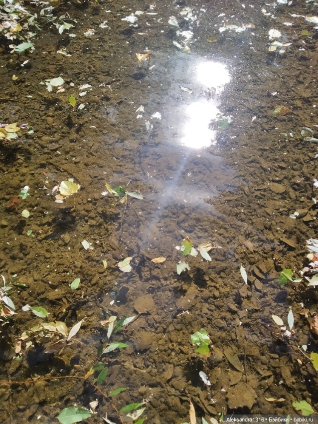 Опять +25🌞 — Туризм и путешествия: фотоотчеты из поездок