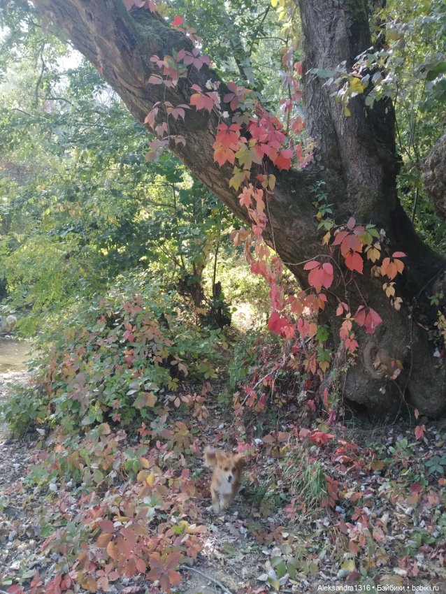 Опять +25🌞 — Туризм и путешествия: фотоотчеты из поездок