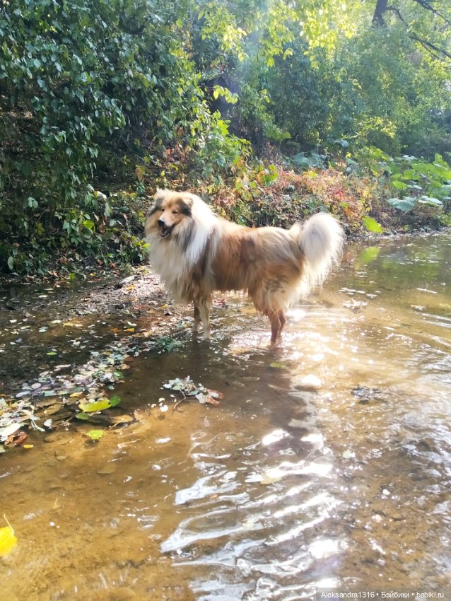 Опять +25🌞 — Туризм и путешествия: фотоотчеты из поездок