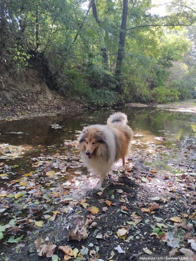 Опять +25🌞 — Туризм и путешествия: фотоотчеты из поездок