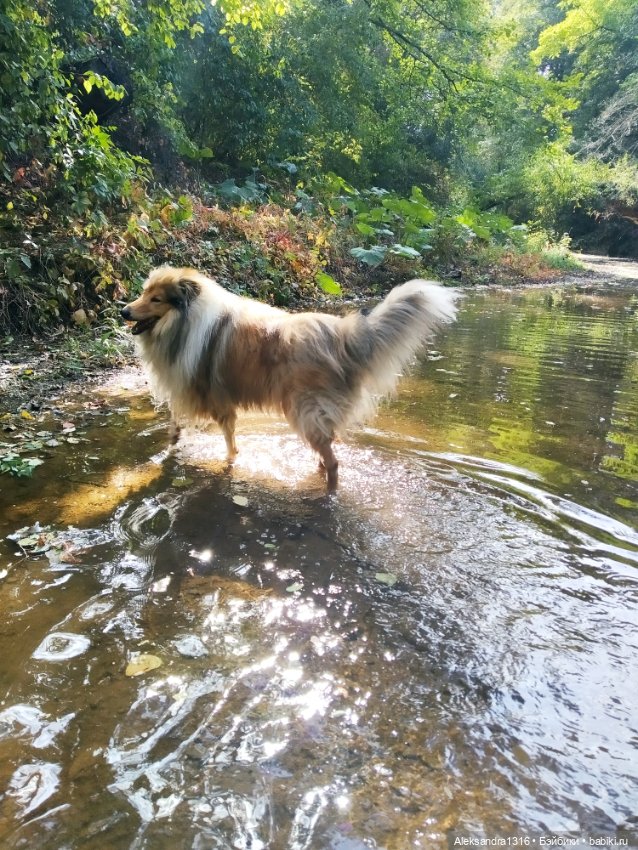 Опять +25🌞 — Туризм и путешествия: фотоотчеты из поездок