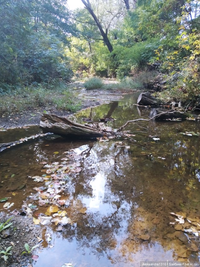 Опять +25🌞 — Туризм и путешествия: фотоотчеты из поездок (фото 9)