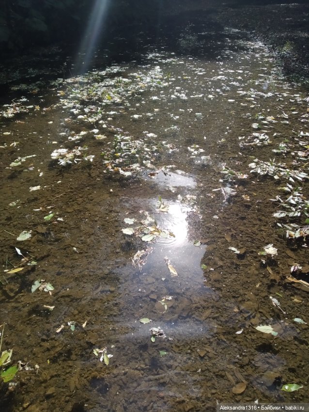 Опять +25🌞 — Туризм и путешествия: фотоотчеты из поездок