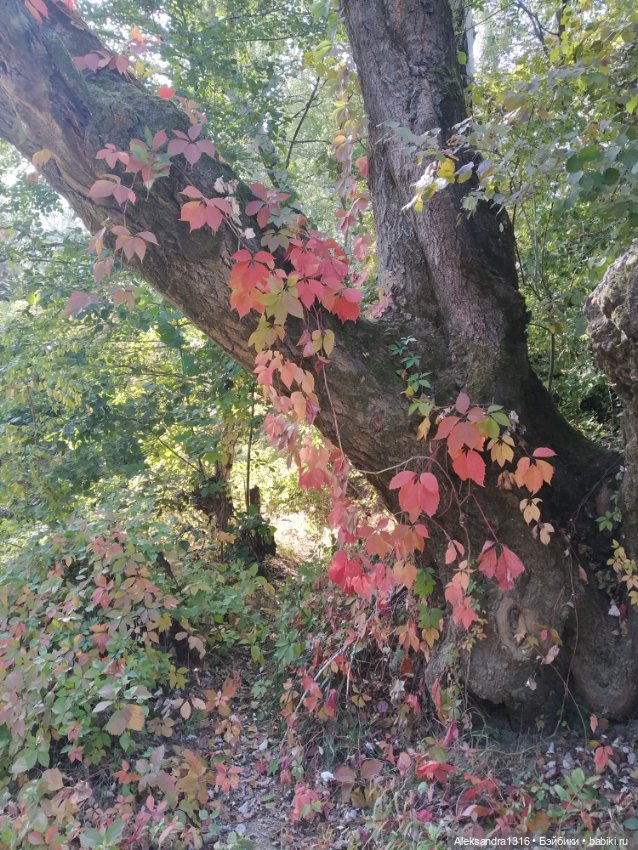 Опять +25🌞 — Туризм и путешествия: фотоотчеты из поездок