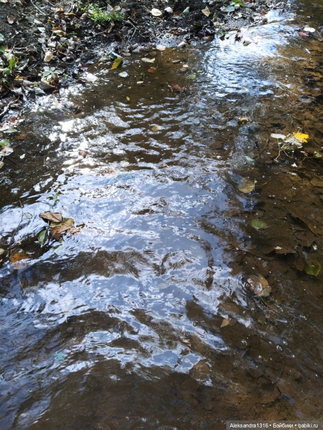 Опять +25🌞 — Туризм и путешествия: фотоотчеты из поездок (фото 2)