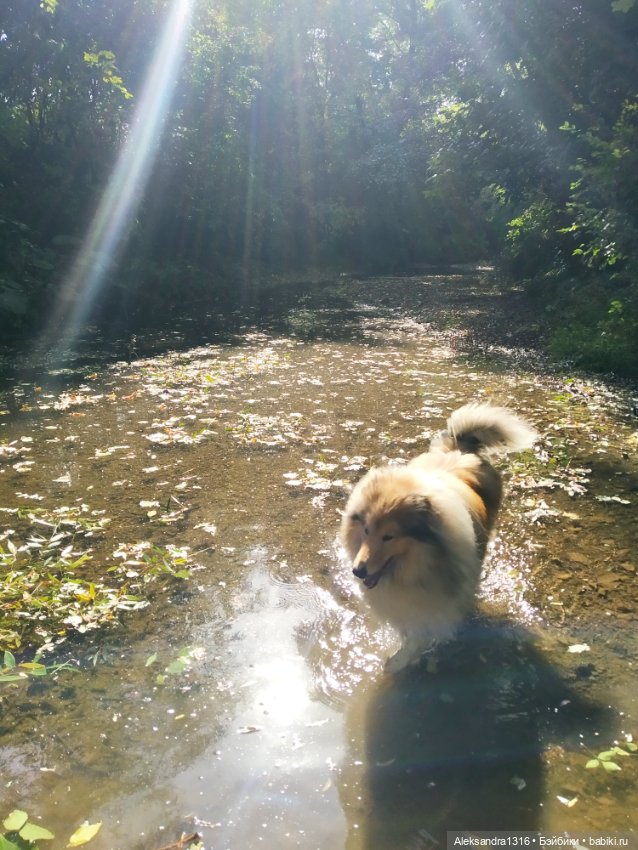 Опять +25🌞 — Туризм и путешествия: фотоотчеты из поездок