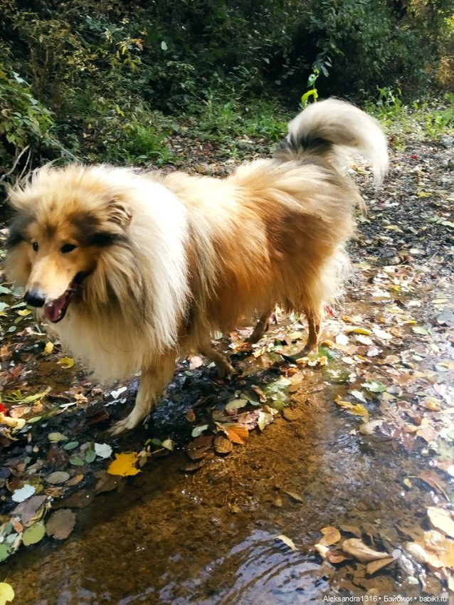 Опять +25🌞 — Туризм и путешествия: фотоотчеты из поездок