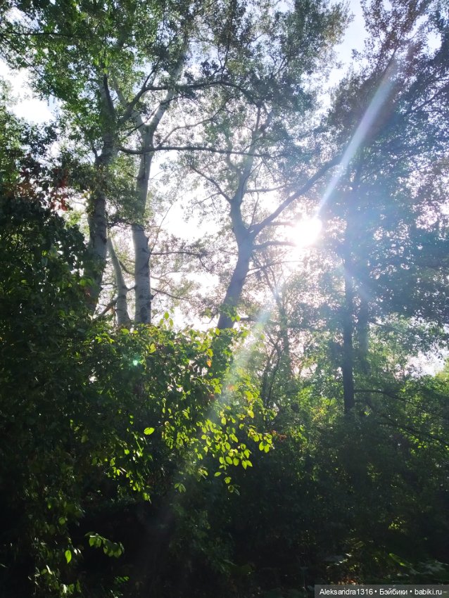 Опять +25🌞 — Туризм и путешествия: фотоотчеты из поездок