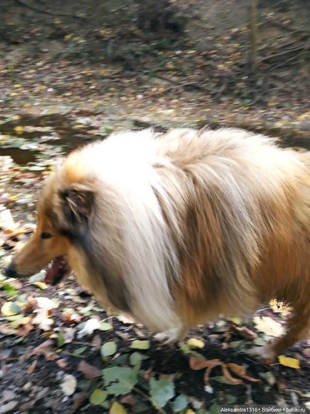 Опять +25🌞 — Туризм и путешествия: фотоотчеты из поездок