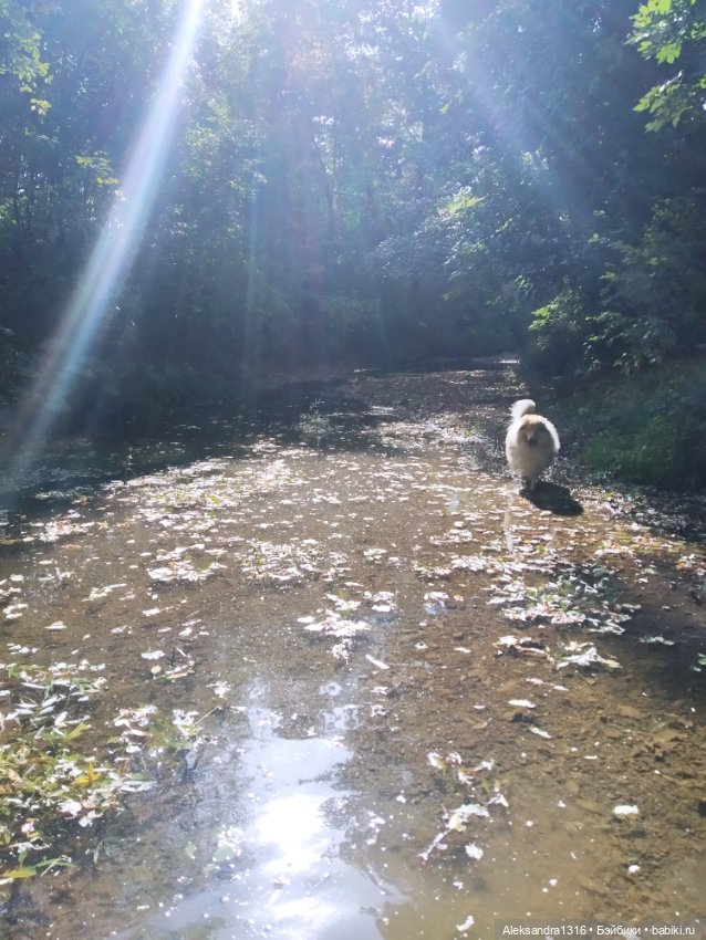 Опять +25🌞 — Туризм и путешествия: фотоотчеты из поездок