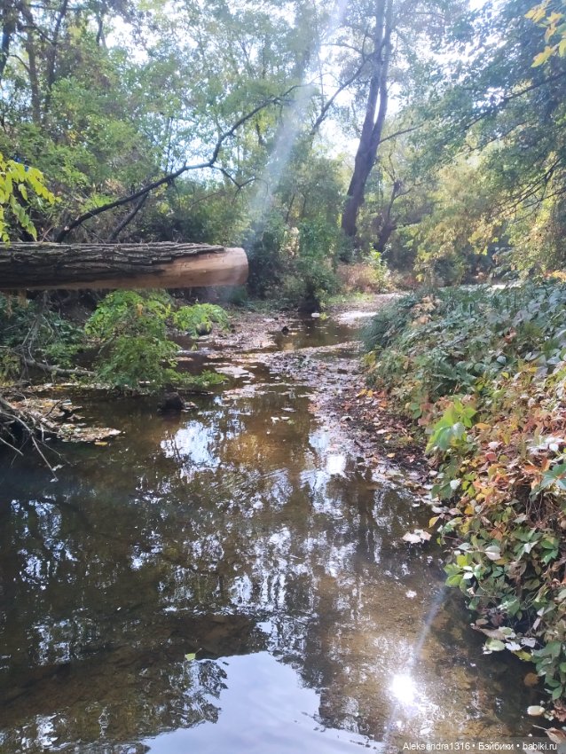 Опять +25🌞 — Туризм и путешествия: фотоотчеты из поездок