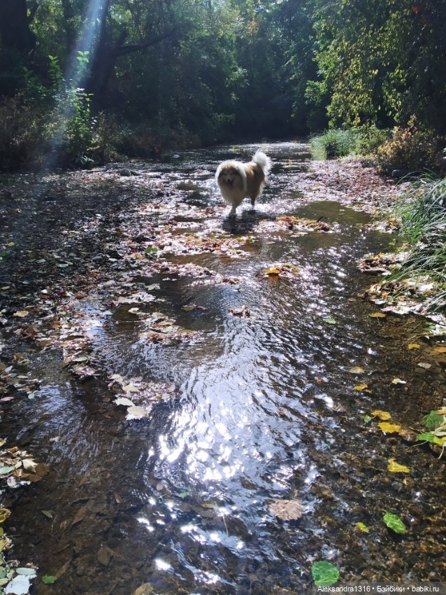 Опять +25🌞 — Туризм и путешествия: фотоотчеты из поездок (фото 5)