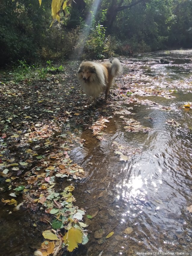 Опять +25🌞 — Туризм и путешествия: фотоотчеты из поездок (фото 8)