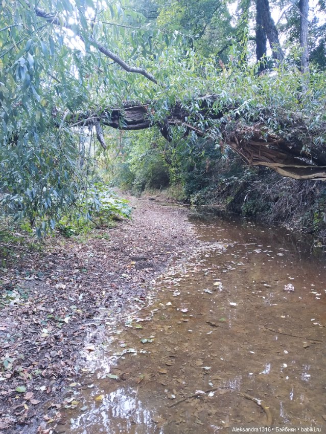 Опять +25🌞 — Туризм и путешествия: фотоотчеты из поездок