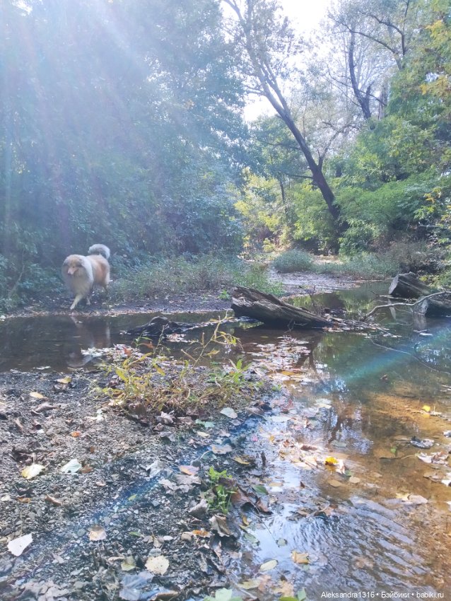 Опять +25🌞 — Туризм и путешествия: фотоотчеты из поездок