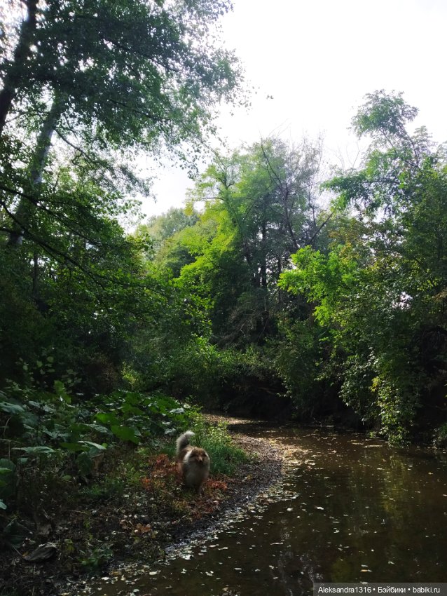 Опять +25🌞 — Туризм и путешествия: фотоотчеты из поездок