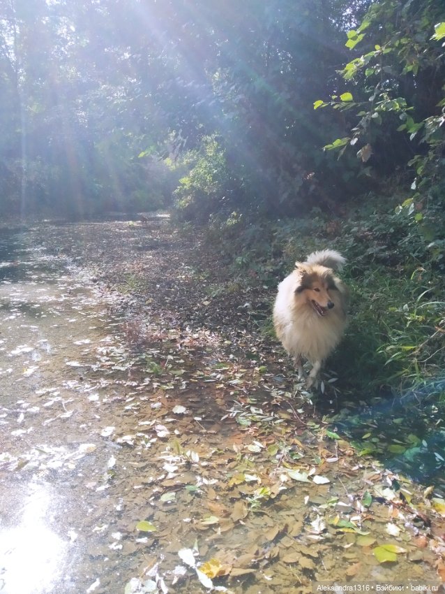 Опять +25🌞 — Туризм и путешествия: фотоотчеты из поездок