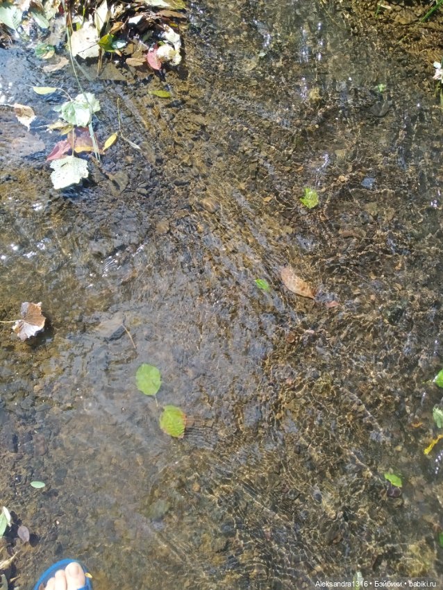 Опять +25🌞 — Туризм и путешествия: фотоотчеты из поездок (фото 6)