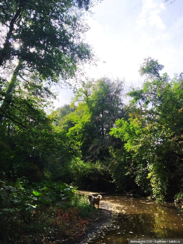 Опять +25🌞 — Туризм и путешествия: фотоотчеты из поездок