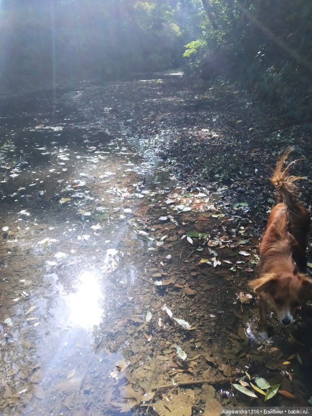 Опять +25🌞 — Туризм и путешествия: фотоотчеты из поездок