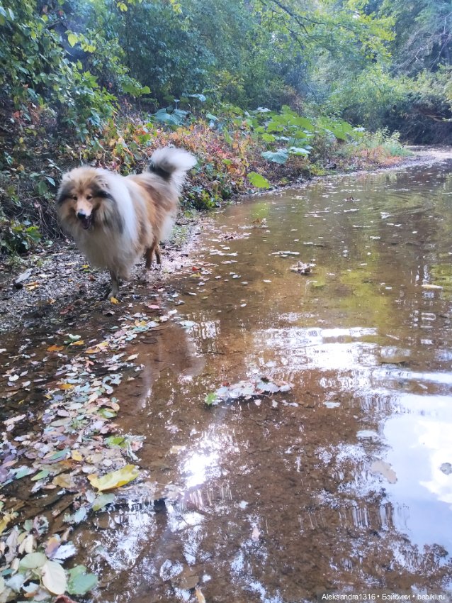 Опять +25🌞 — Туризм и путешествия: фотоотчеты из поездок