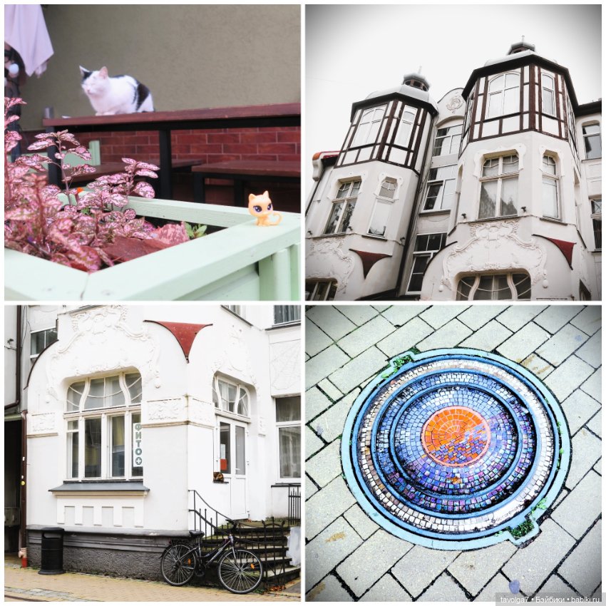 Hildy от Remco в Зеленоградске