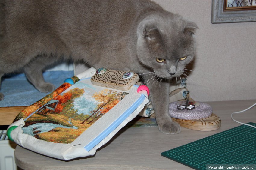 Мои маленькие помощники! Часть 3