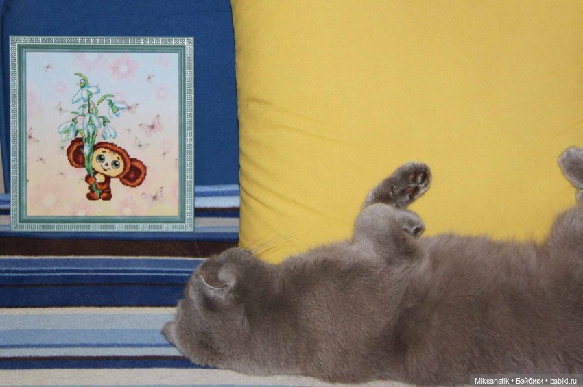 Мои маленькие помощники! Часть 3