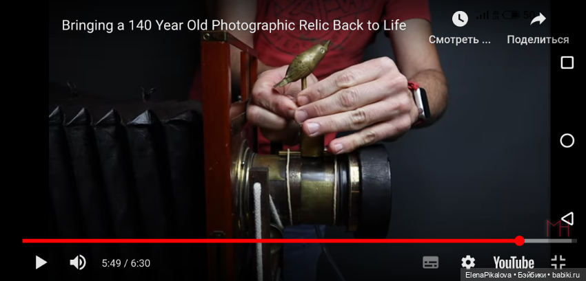 "Внимание! Сейчас вылетит птичка! " (фото 5)