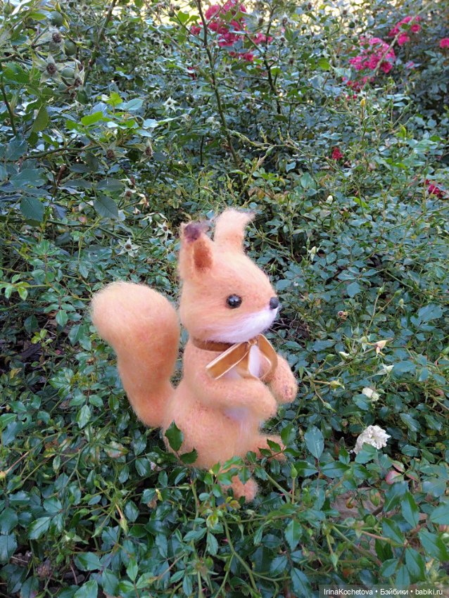 Люблю рыжиков особенно осенью (фото 2)