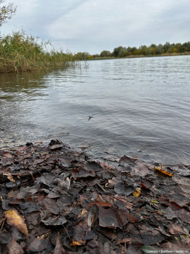 Каплица или Монастырское Урочище