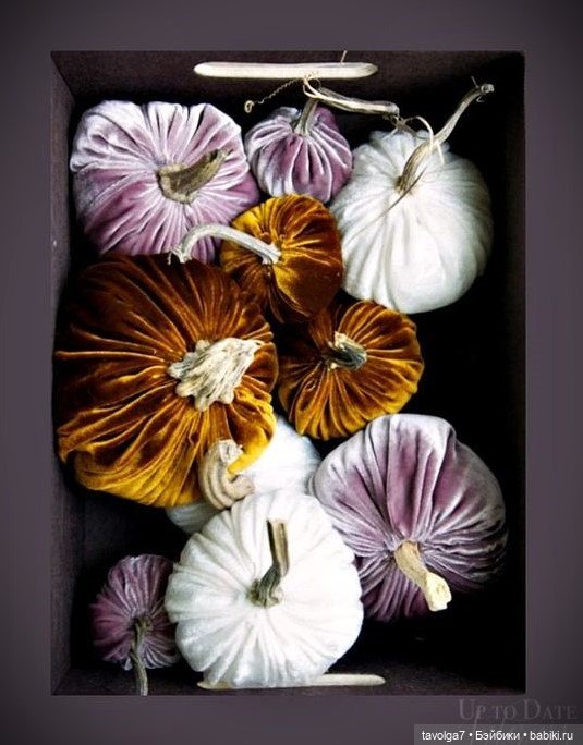 Бархатные тыквы для осенних праздников